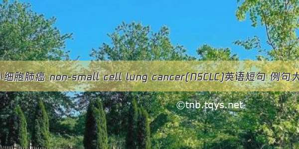 非小细胞肺癌 non-small cell lung cancer(NSCLC)英语短句 例句大全