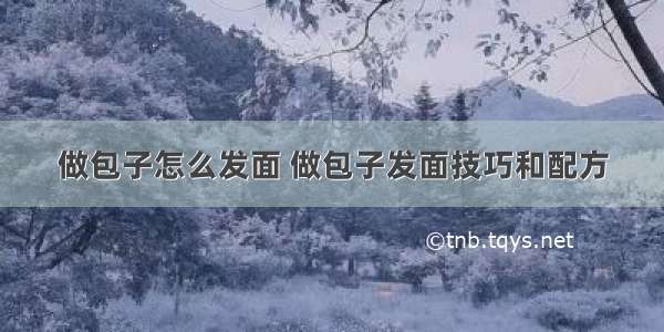 做包子怎么发面 做包子发面技巧和配方