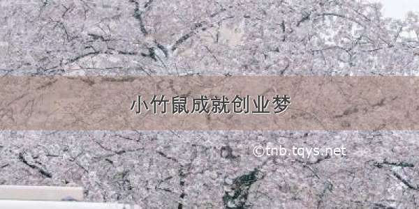 小竹鼠成就创业梦