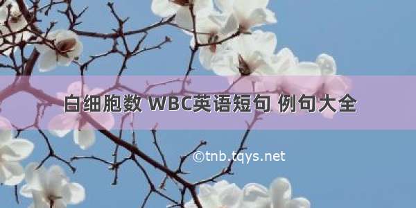 白细胞数 WBC英语短句 例句大全