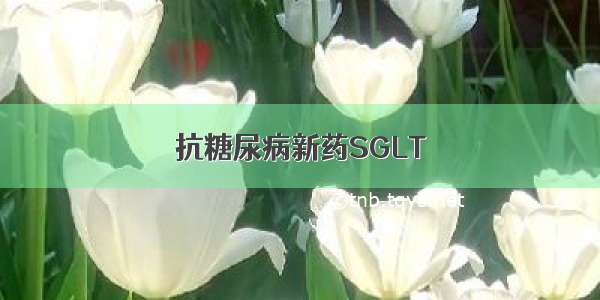 抗糖尿病新药SGLT