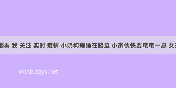 刷新 翻看 我 关注 实时 疫情 小奶狗瘫睡在路边 小家伙快要奄奄一息 女孩看到