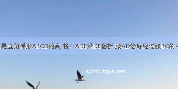 如图 已知DE是直角梯形ABCD的高 将△ADE沿DE翻折 腰AD恰好经过腰BC的中点 则AE：B