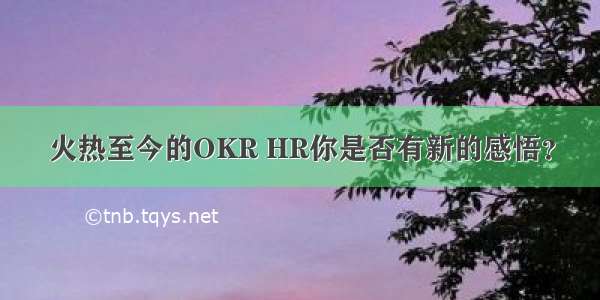 火热至今的OKR HR你是否有新的感悟？