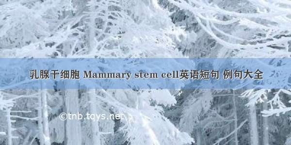 乳腺干细胞 Mammary stem cell英语短句 例句大全