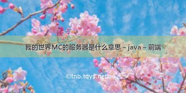 我的世界MC的服务器是什么意思 – java – 前端