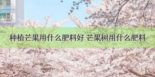 种植芒果用什么肥料好 芒果树用什么肥料