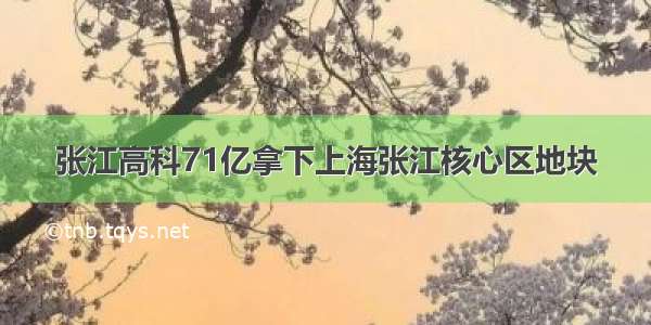 张江高科71亿拿下上海张江核心区地块