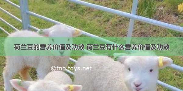 荷兰豆的营养价值及功效 荷兰豆有什么营养价值及功效