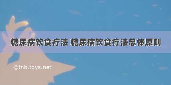 糖尿病饮食疗法 糖尿病饮食疗法总体原则