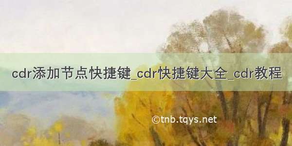 cdr添加节点快捷键_cdr快捷键大全_cdr教程