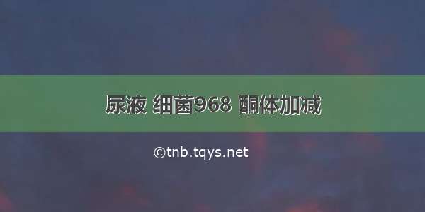 尿液 细菌968 酮体加减