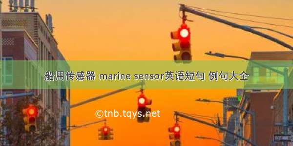 船用传感器 marine sensor英语短句 例句大全