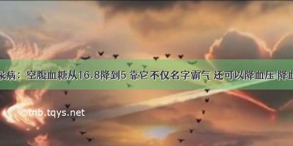 46岁屠夫糖尿病：空腹血糖从16.8降到5 靠它不仅名字霸气 还可以降血压 降血糖 防治百病