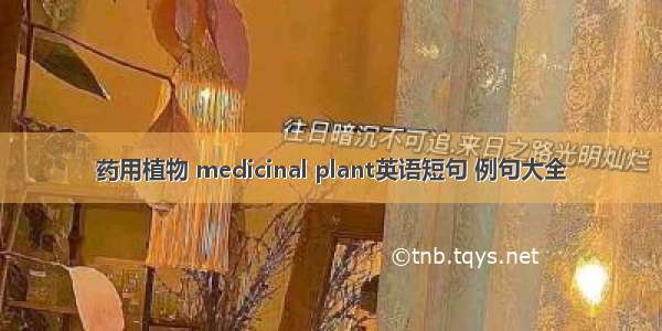 药用植物 medicinal plant英语短句 例句大全