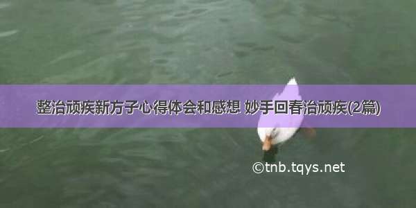 整治顽疾新方子心得体会和感想 妙手回春治顽疾(2篇)