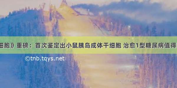 《细胞》重磅：首次鉴定出小鼠胰岛成体干细胞 治愈1型糖尿病值得期待