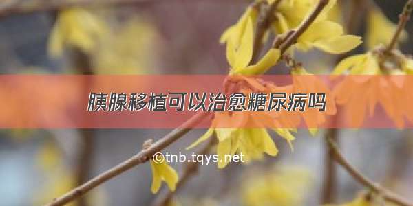 胰腺移植可以治愈糖尿病吗