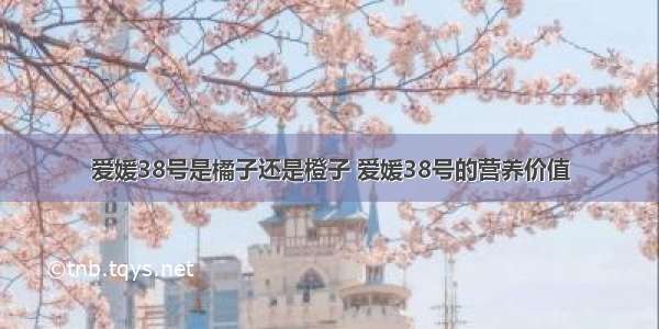 爱媛38号是橘子还是橙子 爱媛38号的营养价值