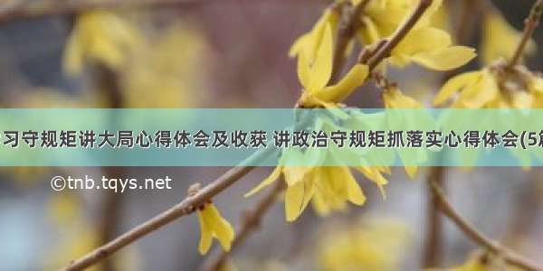 学习守规矩讲大局心得体会及收获 讲政治守规矩抓落实心得体会(5篇)