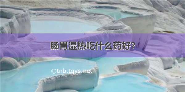 肠胃湿热吃什么药好？