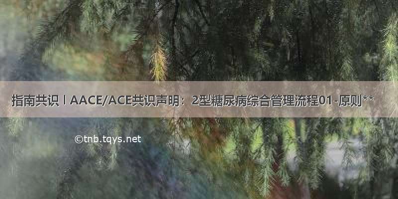 指南共识 l AACE/ACE共识声明：2型糖尿病综合管理流程01-原则**