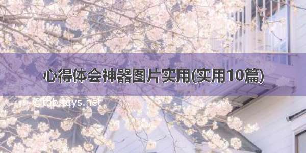 心得体会神器图片实用(实用10篇)