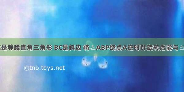 如图 △ABC是等腰直角三角形 BC是斜边 将△ABP绕点A逆时针旋转后能与△ACP1重合．