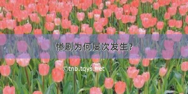 惨剧为何屡次发生？