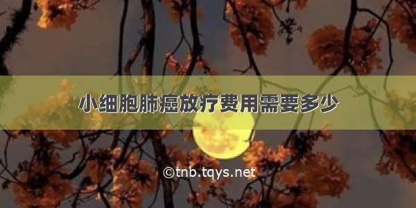 小细胞肺癌放疗费用需要多少