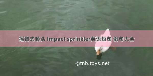 摇臂式喷头 Impact sprinkler英语短句 例句大全