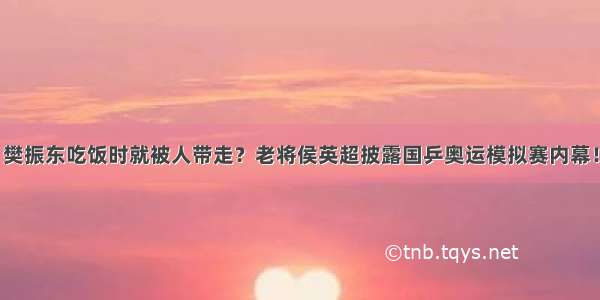 樊振东吃饭时就被人带走？老将侯英超披露国乒奥运模拟赛内幕！