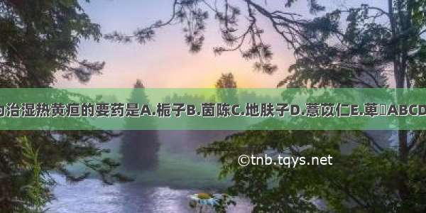 为治湿热黄疸的要药是A.栀子B.茵陈C.地肤子D.薏苡仁E.萆薢ABCDE