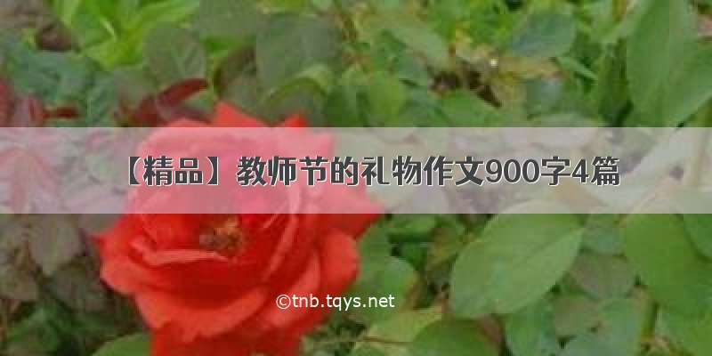 【精品】教师节的礼物作文900字4篇