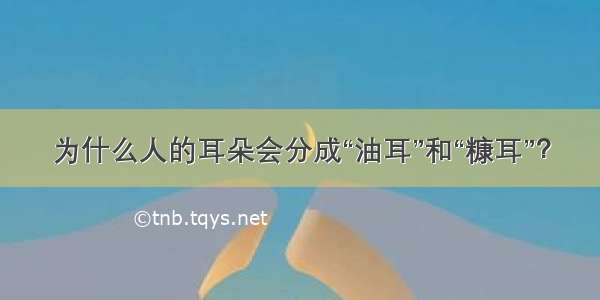 为什么人的耳朵会分成“油耳”和“糠耳”？