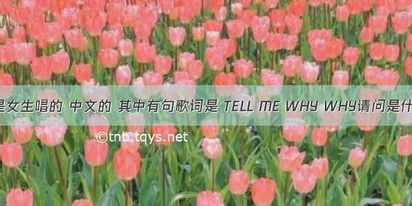 有一首歌是女生唱的 中文的 其中有句歌词是 TELL ME WHY WHY请问是什么歌曲啊