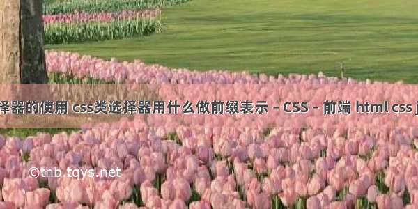 css交集选择器的使用 css类选择器用什么做前缀表示 – CSS – 前端 html css js 项目资源