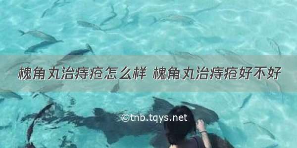 槐角丸治痔疮怎么样 槐角丸治痔疮好不好