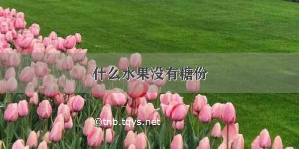 什么水果没有糖份