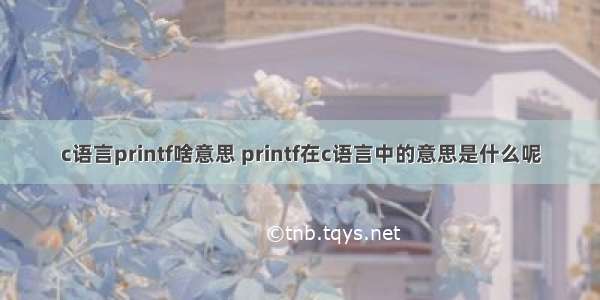 c语言printf啥意思 printf在c语言中的意思是什么呢