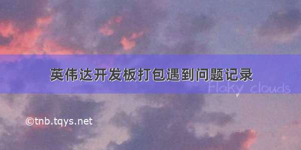 英伟达开发板打包遇到问题记录