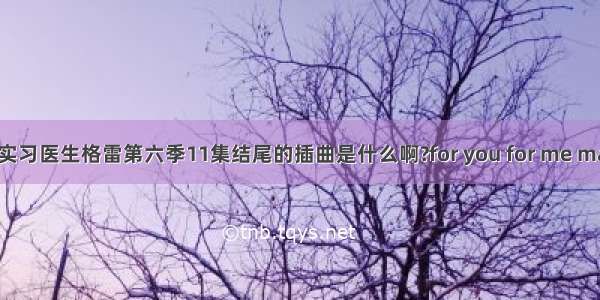 【请问实习医生格雷第六季11集结尾的插曲是什么啊?for you for me make me】