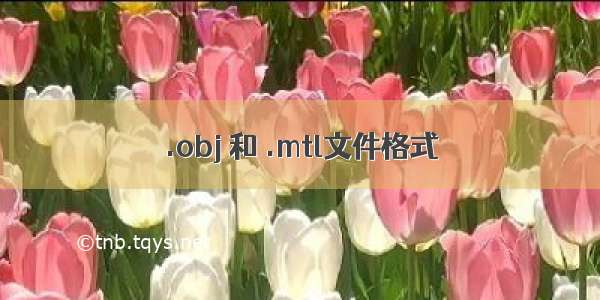 .obj 和 .mtl文件格式