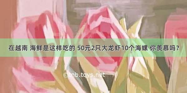 在越南 海鲜是这样吃的 50元2只大龙虾10个海螺 你羡慕吗？