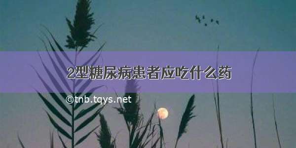 2型糖尿病患者应吃什么药