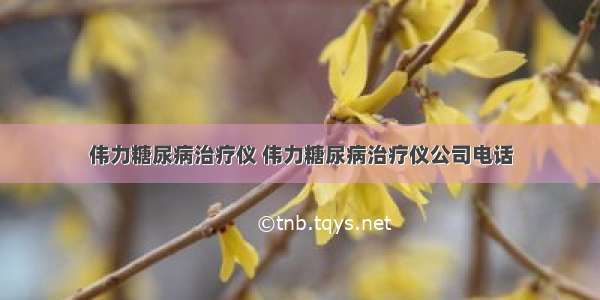 伟力糖尿病治疗仪 伟力糖尿病治疗仪公司电话