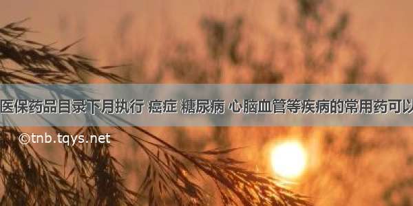 贵州新版医保药品目录下月执行 癌症 糖尿病 心脑血管等疾病的常用药可以报医保了