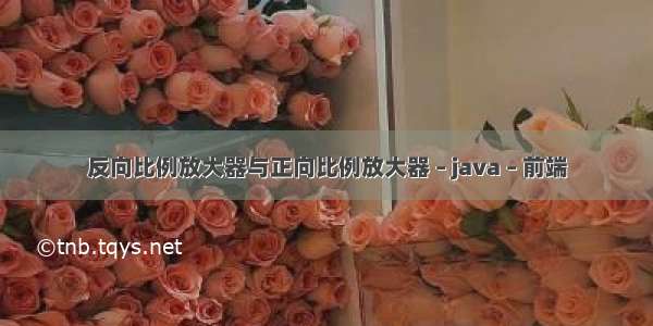 反向比例放大器与正向比例放大器 – java – 前端