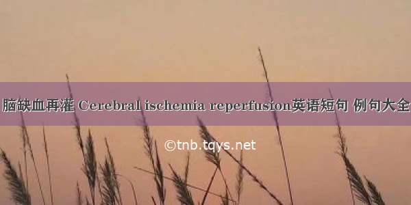 脑缺血再灌 Cerebral ischemia reperfusion英语短句 例句大全