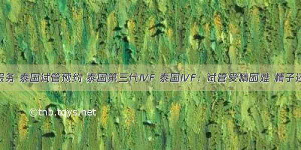 泰国医疗服务 泰国试管预约 泰国第三代IVF 泰国IVF：试管受精困难 精子还是卵子该